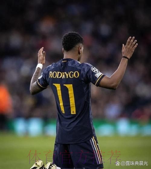 又伤了!罗马诺:罗德里戈肌肉拉伤 将缺战至12月初
